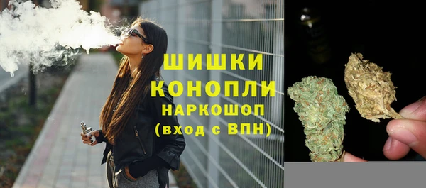 молекула духа Ладушкин