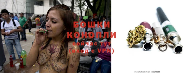 молекула духа Ладушкин