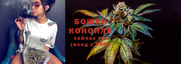 молекула духа Ладушкин