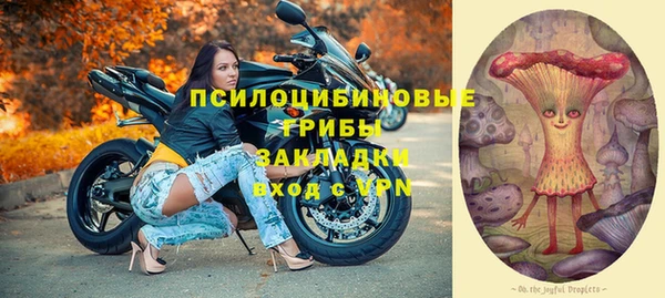 стафф Куйбышев