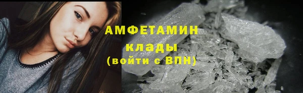 Альфа ПВП Лагань