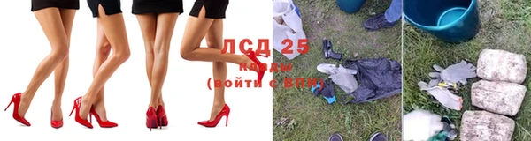 молекула духа Ладушкин