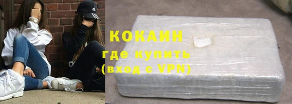 молекула духа Ладушкин