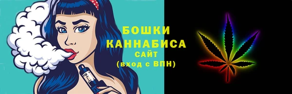 молекула духа Ладушкин