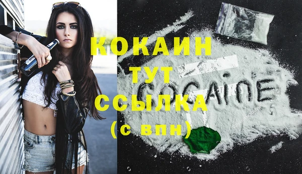 молекула духа Ладушкин