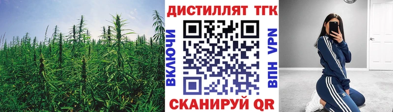 Дистиллят ТГК Wax  Купить закладки  Нестеров 