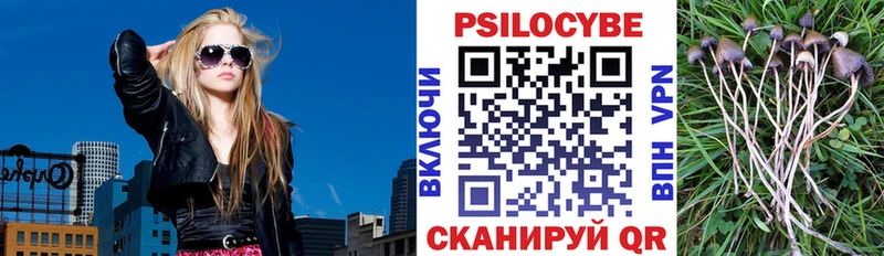 Купить  Нестеров  Псилоцибиновые грибы Psilocybe 